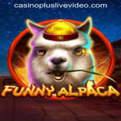 FunnyAlpaca: An Entertaining Adventure with CASINOPLUS LIVEVIDEO